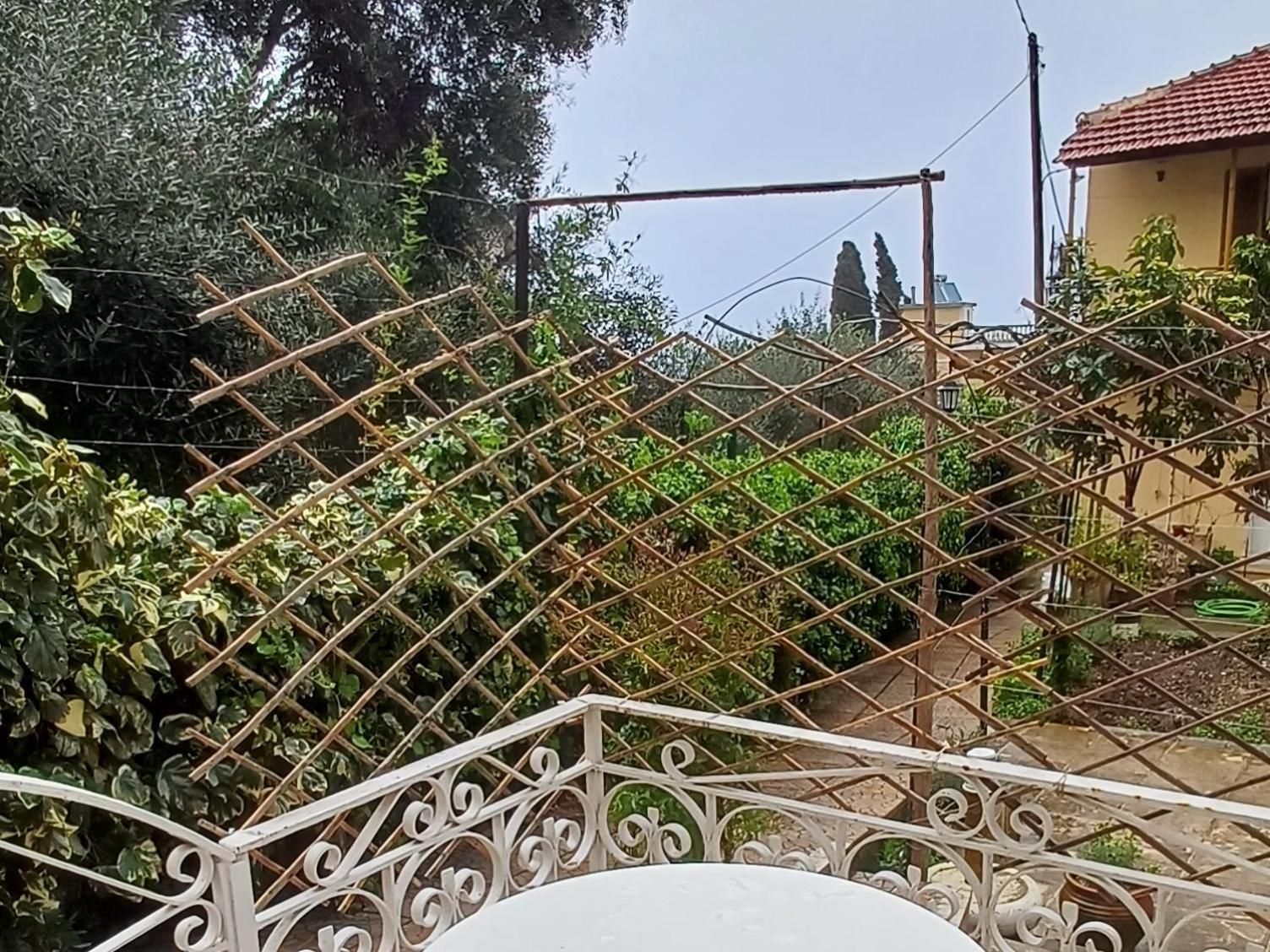 Flora Studios Corfu - Adults Only Μπενίτσες Εξωτερικό φωτογραφία