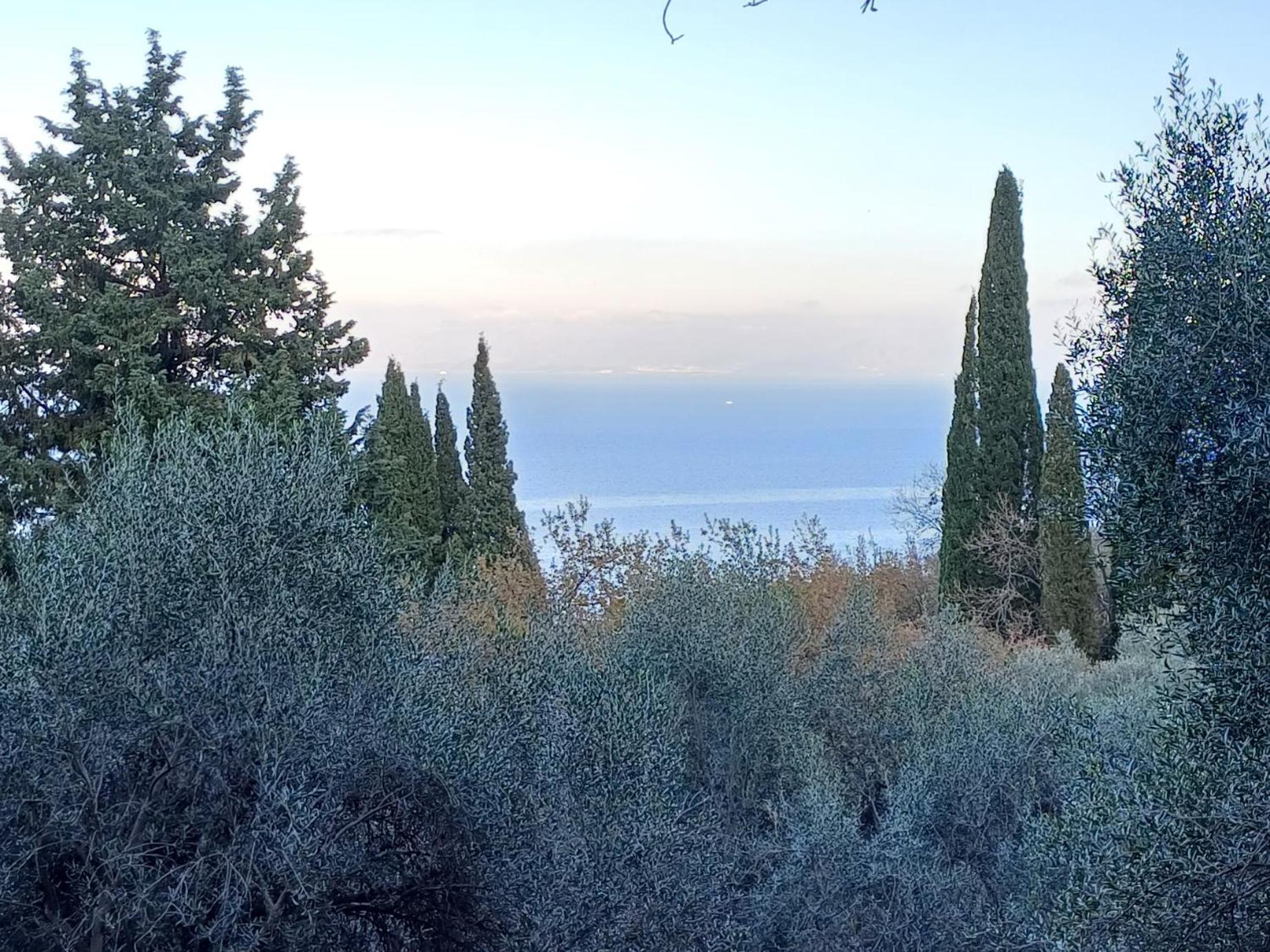 Flora Studios Corfu - Adults Only Μπενίτσες Εξωτερικό φωτογραφία
