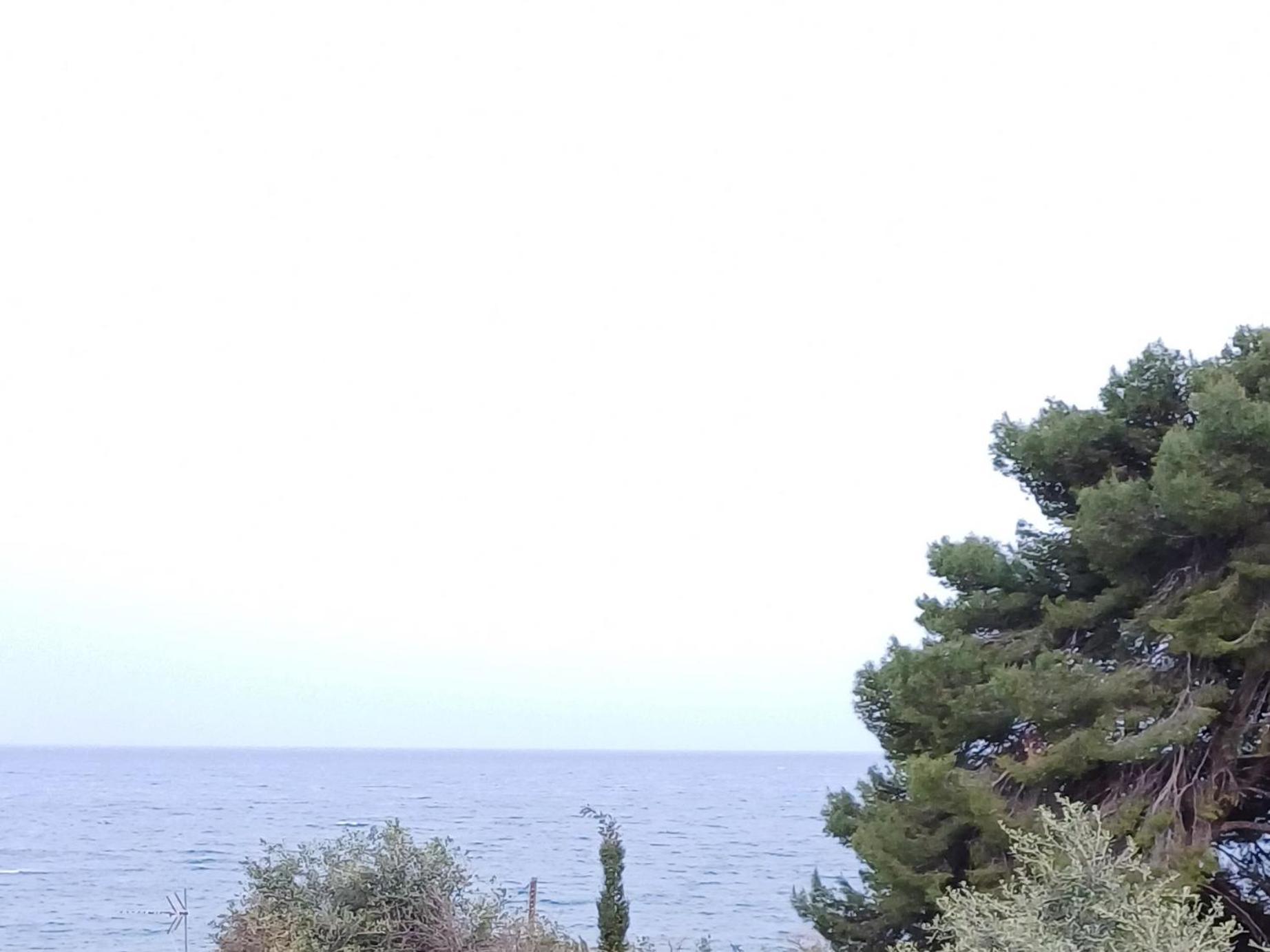 Flora Studios Corfu - Adults Only Μπενίτσες Δωμάτιο φωτογραφία