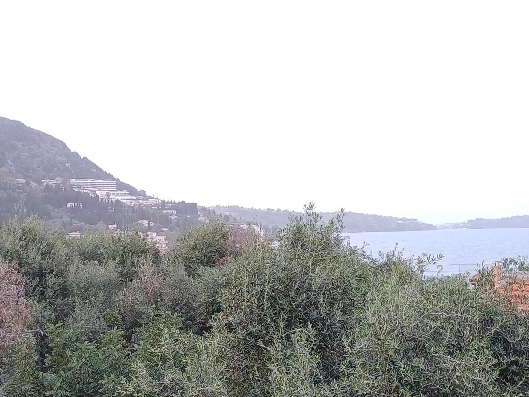 Flora Studios Corfu - Adults Only Μπενίτσες Δωμάτιο φωτογραφία